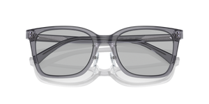 Shiny Transparent Grey / Light Grey (502987)
