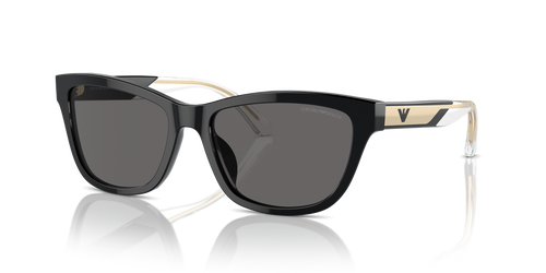 Shiny Black / Dark Grey Polarized (501787)