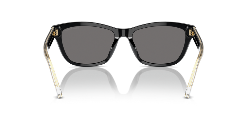 Emporio Armani EA4227U in Shiny Black - Temple Detail
