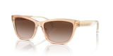 Shiny Opaline Tundra / Gradient Brown (609813)
