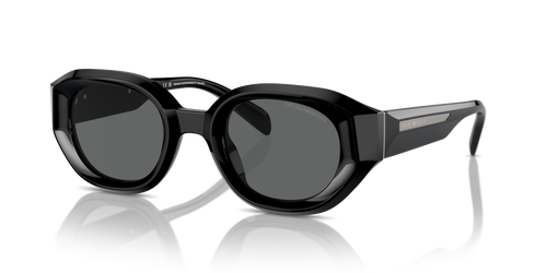 Shiny Black / Dark Grey (501787)
