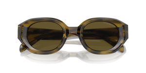 Shiny Striped Green / Dark Brown (614873)