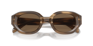 Shiny Striped Brown / Dark Brown (614973)
