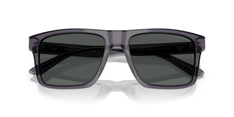 Emporio Armani EA4232F in Transparent Dark Grey - Side View