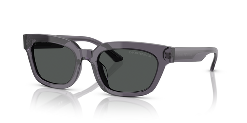 Transparent Grey / Dark Grey (610687)