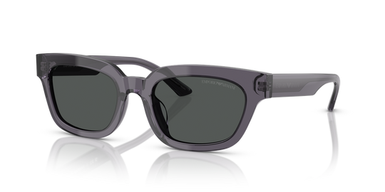 Emporio Armani EA4233U - Transparent Grey / Dark Grey (610687)