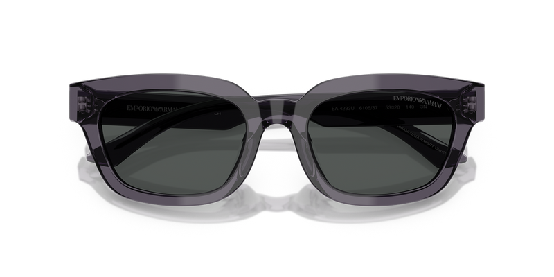 Emporio Armani EA4233U in Transparent Grey - Side View