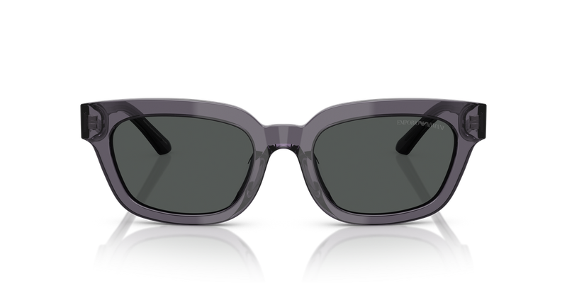 Emporio Armani EA4233U in Transparent Grey - Alternate View