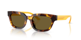 Havana Yellow / Dark Brown (618173)