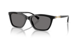 Shiny Black / Dark Grey Polarized (501781)