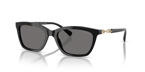 Shiny Black / Dark Grey Polarized (501781)