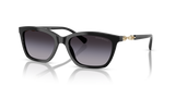 Shiny Black / Grey Gradient (50178G)