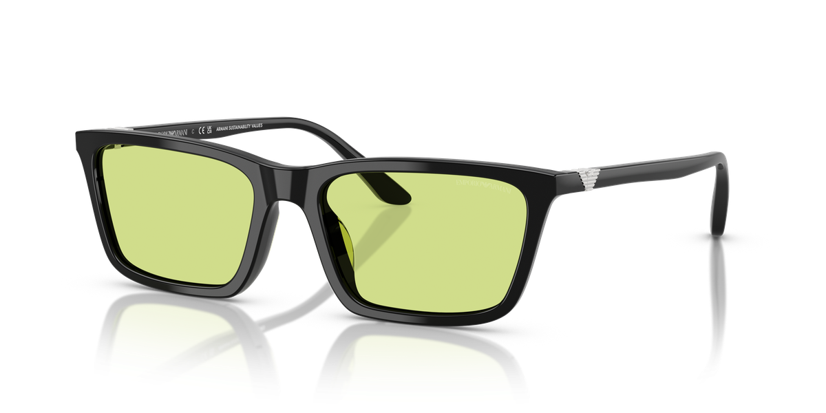 Emporio Armani EA4239U