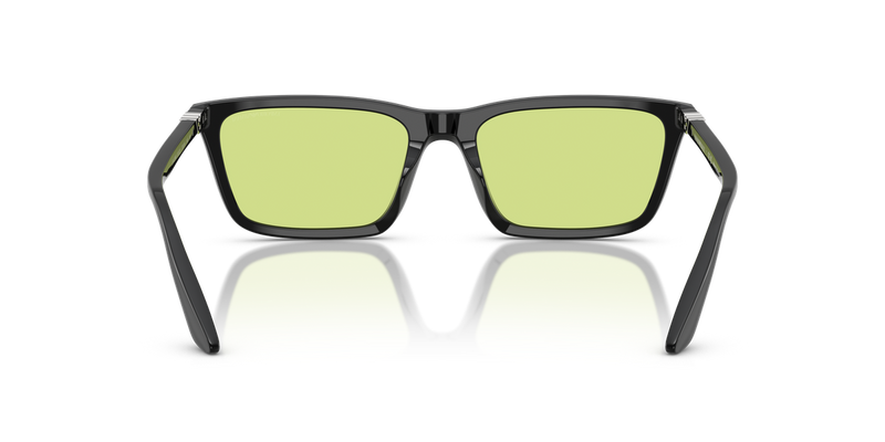 Emporio Armani EA4239U in Shiny Black - Temple Detail