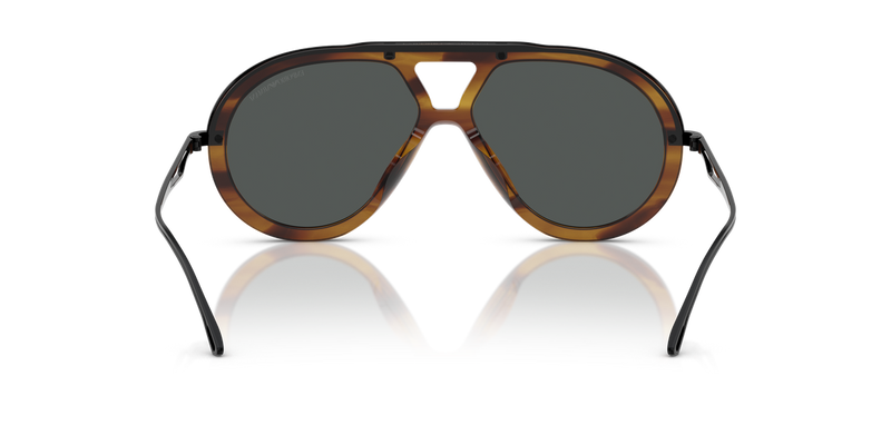 Emporio Armani EA4242U in Shiny Striped Brown - Temple Detail