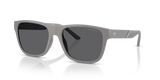 Matte Grey / Polarized Grey (6245/1)