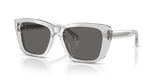Shiny Crystal / Grey (625087)