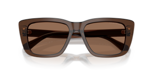 Shiny Transparent Brown / Dark Brown (625173)
