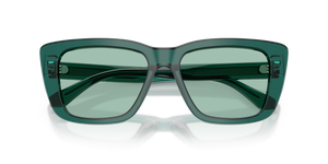 Shiny Transparent Green / Green (6252/2)