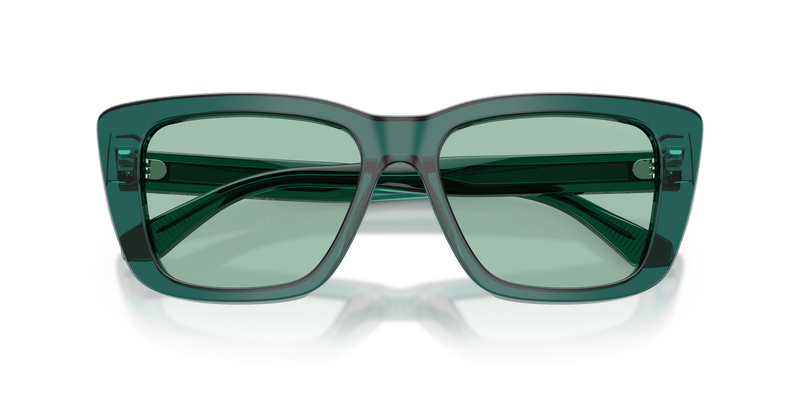 Emporio Armani EA4246U in Shiny Transparent Green - Alternate View