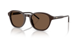 Shiny Brown / Brown (625573)