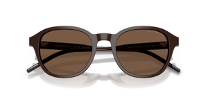 Shiny Brown / Brown (625573)