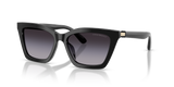 Shiny Black / Gradient Grey (50178G)