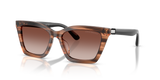 Shiny Striped Brown / Gradient Brown (626613)