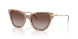 Shiny Opal Tundra / Gradient Brown (626313)