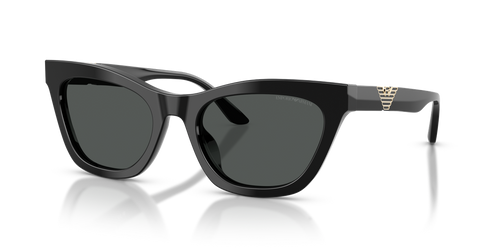 Shiny Black / Dark Grey (501787)