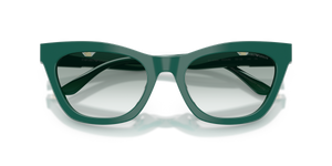 Shiny Green / Clear Gradient Green (63248E)