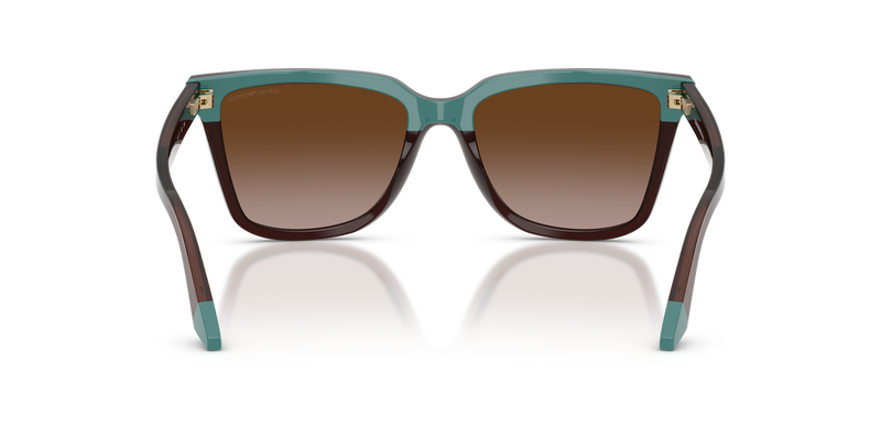Emporio Armani EA4261F in Transparent Brown/Teal - Alternate View