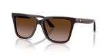 Transparent Brown/Teal / Brown Gradient (631813)