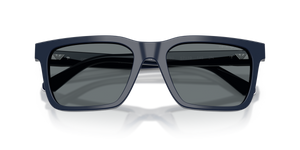 Shiny Blue / Dark Blue (603980)