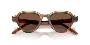 Striped Dark Brown / Brown (633973)