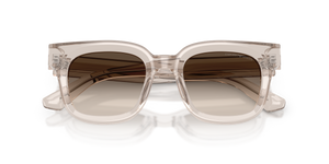 Shiny Transparent Tundra / Light Brown Gradient Grey (63630A)