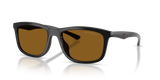 Shiny Black / Dark Brown Polarized (501783)