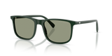 Shiny Green / Green (6173/2)