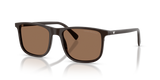Shiny Brown / Dark Brown (645273)