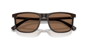 Shiny Brown / Dark Brown (645273)