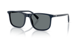 Shiny Blue / Dark Blue (645380)