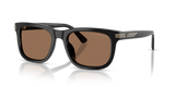 Shiny Black / Dark Brown (501773)