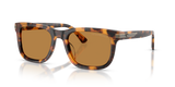 Shiny Havana Yellow / Light Brown (591693)
