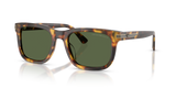 Shiny Havana Brown / Dark Green (599371)