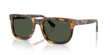 Shiny Havana Brown / Dark Green Polarized (59939A)
