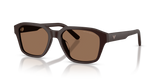 Matte Brown / Dark Brown (645873)