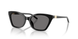 Shiny Black / Dark Grey Polarized (501781)