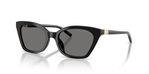 Shiny Black / Dark Grey Polarized (501781)