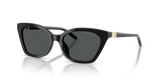 Shiny Black / Dark Grey (501787)