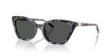 Shiny Havana Grey / Dark Grey (646087)